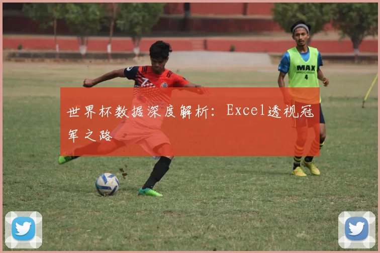 世界杯数据深度解析：Excel透视冠军之路