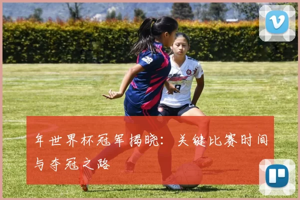 年世界杯冠军揭晓：关键比赛时间与夺冠之路