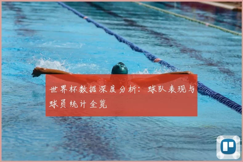 世界杯数据深度分析：球队表现与球员统计全览