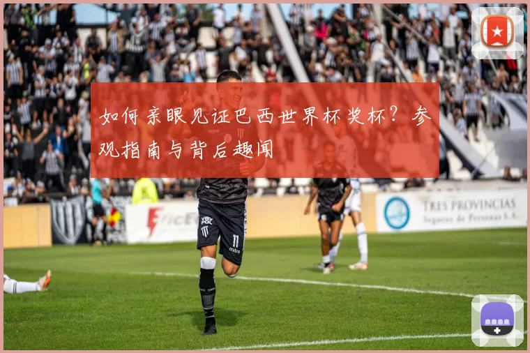 如何亲眼见证巴西世界杯奖杯？参观指南与背后趣闻