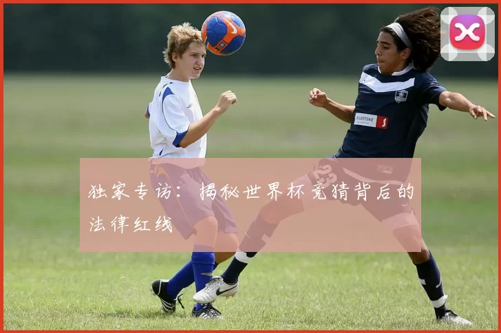 独家专访：揭秘世界杯竞猜背后的法律红线
