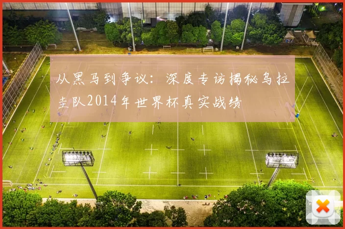 从黑马到争议：深度专访揭秘乌拉圭队2014年世界杯真实战绩