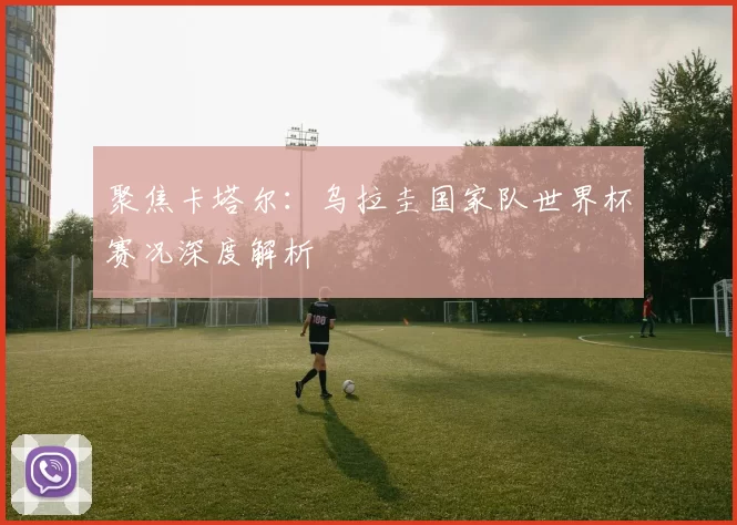 聚焦卡塔尔：乌拉圭国家队世界杯赛况深度解析