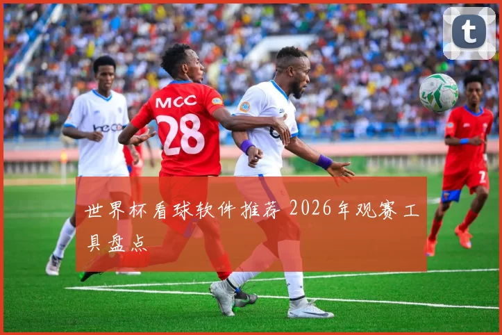 世界杯看球软件推荐 2026年观赛工具盘点