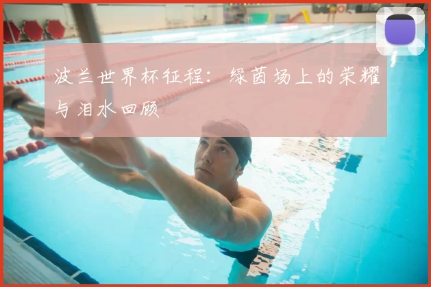 波兰世界杯征程：绿茵场上的荣耀与泪水回顾