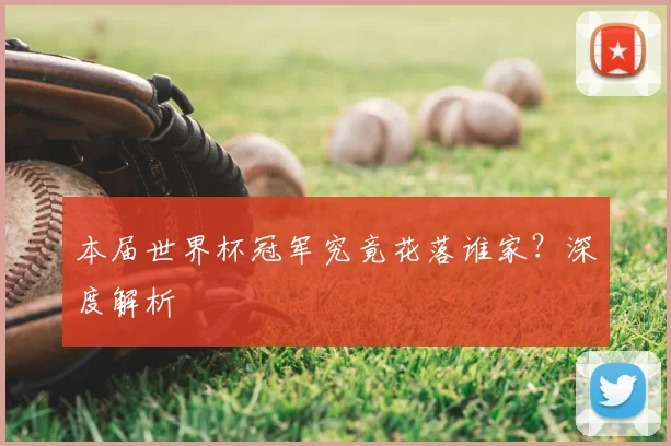 本届世界杯冠军究竟花落谁家?深度解析