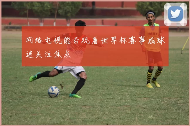 网络电视能否观看世界杯赛事成球迷关注焦点