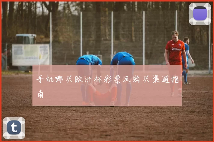 手机哪买欧洲杯彩票及购买渠道指南