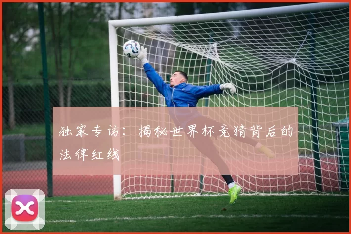 独家专访：揭秘世界杯竞猜背后的法律红线